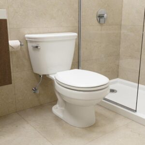 PROFLO Gilpin Round Toilet Bowl Only view 2