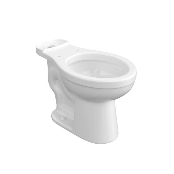 PROFLO Jerritt Elongated Toilet Bowl Only