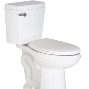 PROFLO Jerritt Elongated Toilet Bowl Only view 3