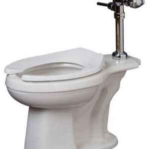 PROFLO Elongated Flush Valve Toilet Bowl Only (ADA) view 2