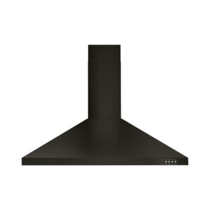 Black Stainless