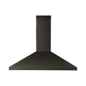 Black Stainless